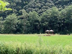 -高荡千年布依古寨旅游景区