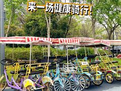 -贡湖湾湿地公园
