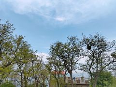 -烟台山景区