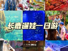 -长鹿旅游休博园