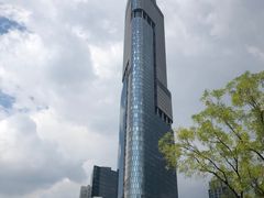 -紫峰大厦