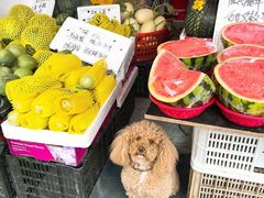 -葑门横街