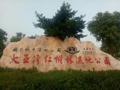 -大亚湾红树林城市湿地公园