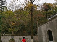 -镇江市南山风景名胜区竹林景区