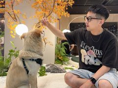 -帕帕拉兹宠物(亚洲旗舰店)