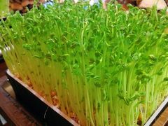 -捞神汤物料理(正大广场店)
