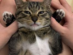 -爱诺耐芙动物医院(万博店)