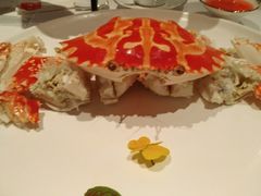 -东富酒家(龙湖西溪天街店)
