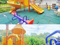 -广州市流溪河国家森林公园