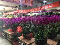 -花鸟鱼虫茶工艺品市场