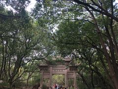 -灵岩山风景区