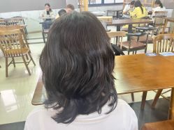 -艺之剪
