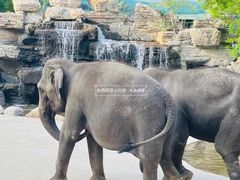 -北京野生动物园