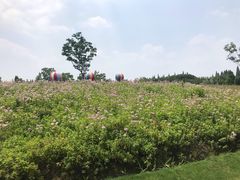 -同里国家湿地公园