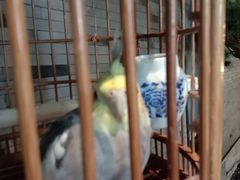 -小厨娘淮扬菜(六合欢乐港店)