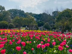 -上海鲜花港