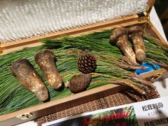-金井日本料理(丽柏广场店)