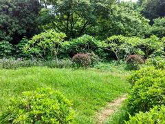 android_upload_pic-天河儿童公园