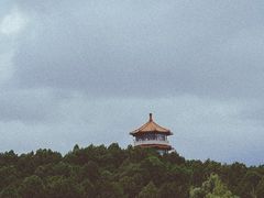 -泰山风景名胜区-虎山公园
