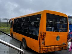 -黑瞎子岛探秘野熊园