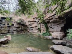 -成吉思汗公园