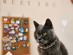 -觅时光手作·香薰·拼豆豆·陶艺DIY