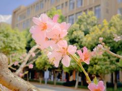 -云南艺术学院(呈贡校区)