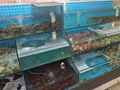 -同道蒸汽海鲜烧烤自助(刘庄夜市店)