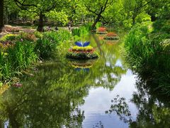 -上海共青森林公园