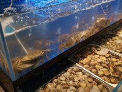 水产区-苏格里岛自助海鲜烤肉火锅(集美万达店)