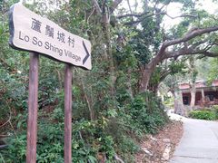 -南丫岛