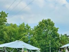 -重庆海昌加勒比海水世界