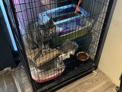 -第三空间·趣味桌游·轰趴.室内CS.剧本杀(大武汉1911店)