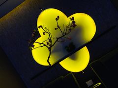 -大桶大足浴(金桥店)