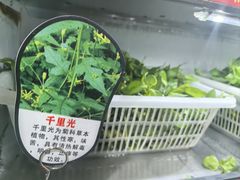 -黔府豆米火锅野菜馆(南马店)
