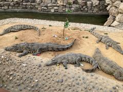 -石家庄市动物园