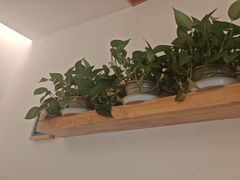 -金塔傣乡·云南民族特色菜·傣味手抓饭(金瓦路店)