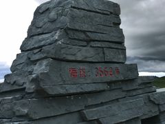 -郭莽湿地