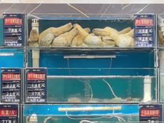 -真味海鲜坊