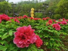 -幕燕滨江·长江观音景区