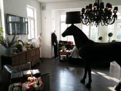 -纯色时光婚纱艺术馆WHITE