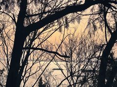 -狼山风景名胜区