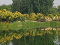 -东郊湿地公园