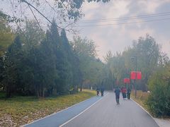 -万泉公园