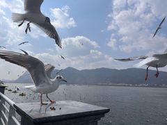 -嘉华鲜花饼·现烤(昆明老街店)