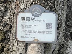 -广州中山纪念堂