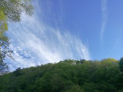 -屈原故里文化旅游区