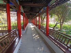 -南汇桃花村