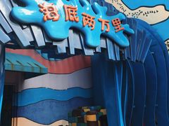 -海合安武汉极地海洋公园