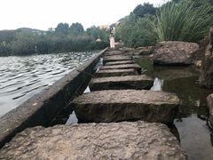 -浙江农林大学(东湖校区)